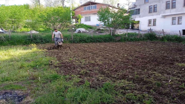 Tarlalarda çapalama işlemi başladı