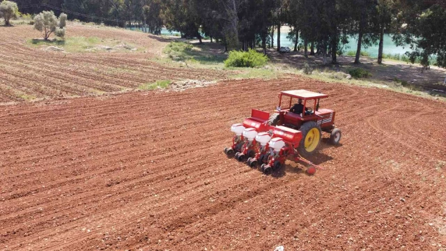 Tarsus Belediyesinden hayvan besicilerine silajlık mısır desteği