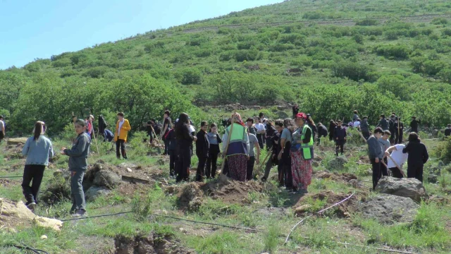 Tekden Koleji öğrencileri 280 fidanı toprakla buluşturdu