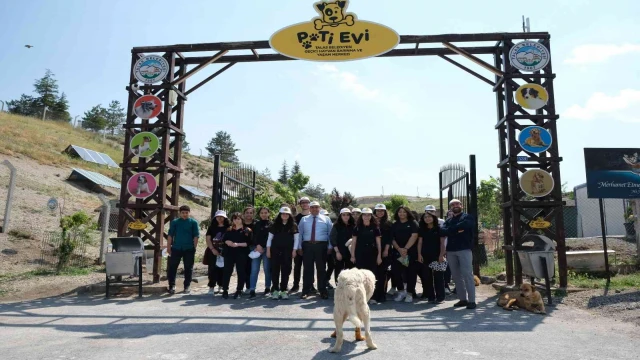 Tekden öğrencilerinden sokak hayvanları için ‘Ver Elini Tut Patimi’ kampanyası