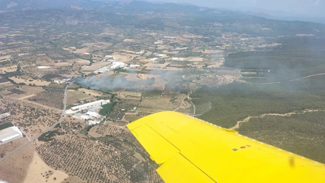 Torbalı’da zeytinlik alanda yangın