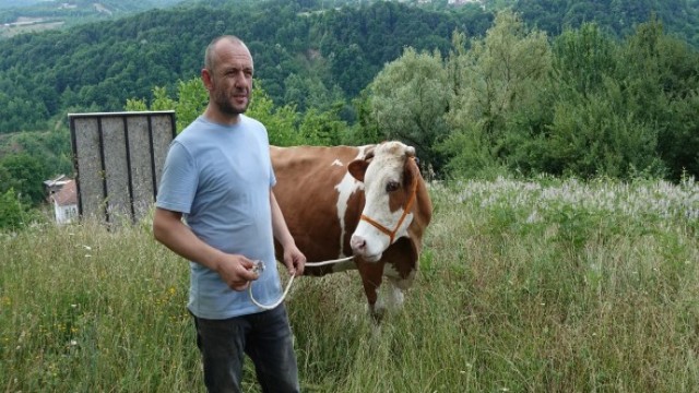 Tüm Hayvanlarını Kaybeden Afyonlu Besiciye Gölcük’ten Yardım Eli