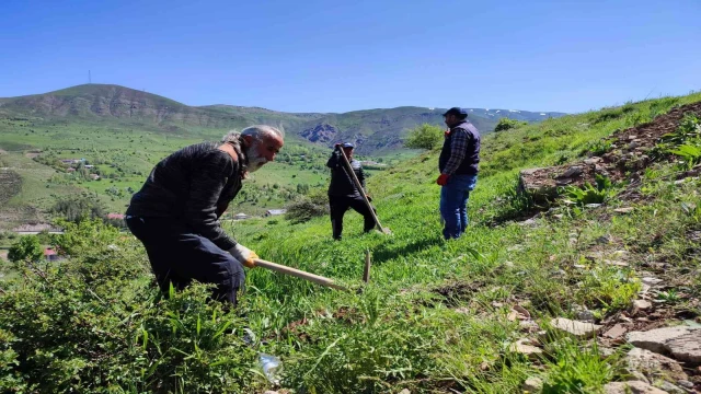 Tunceli’de meyve fidanları toprakla buluştu