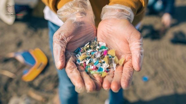 Uzmanlardan dünyada mikroplastik kirlenme artıyor uyarısı