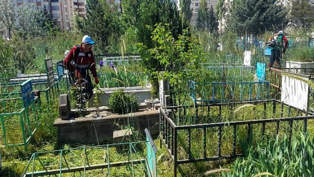 Van Büyükşehir Belediyesi kent genelindeki mezarlıklarda yabani ot temizliği çalışması başlattı.