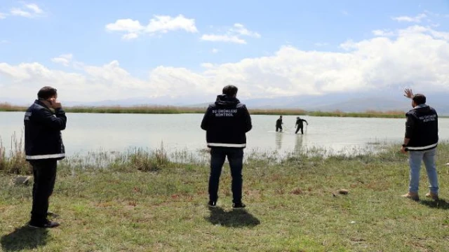 Van’da, bin metre misina ağının ele geçirildiği inci kefali operasyonunu DHA görüntüledi