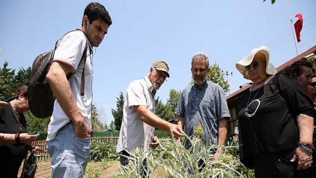 Yabancı konuklar tarımsal üretim çalışmalarını inceledi