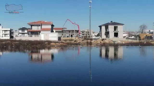 Yağmurla oluşan gölcükler göçmen kuşları sevindirdi