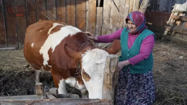 Yangınzede kadın: “Yangında başıma tülbent bile alamadım”