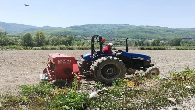 Yüzde 80 su tasarruflu çeltik ekimi yapıldı