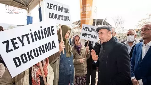 ”Zeytin ağaçlarının yok edilmesi asla kabul edilemez”