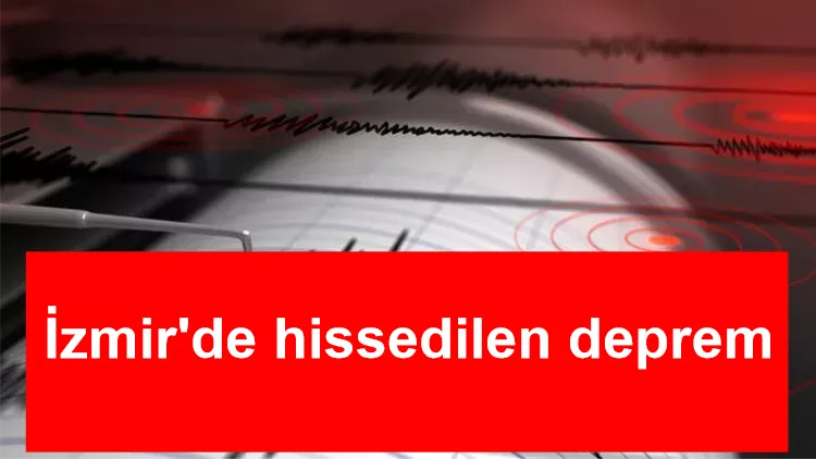 Ege Denizi'nde korkutan deprem! Bazı ilçelerde hissedildi