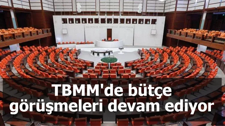 TBMM'de bütçe görüşmeleri devam ediyor