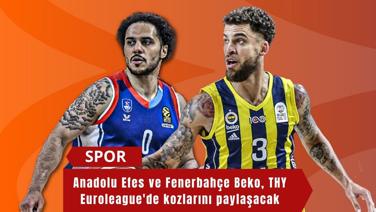 Anadolu Efes ve Fenerbahçe Beko, THY Euroleague'de kozlarını paylaşacak