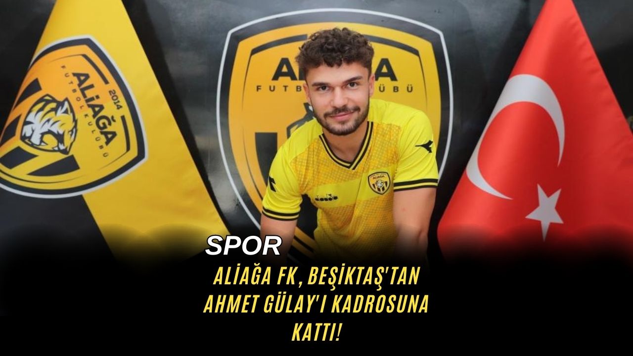Aliağa FK, Beşiktaş'tan Ahmet Gülay'ı Kadrosuna Kattı!