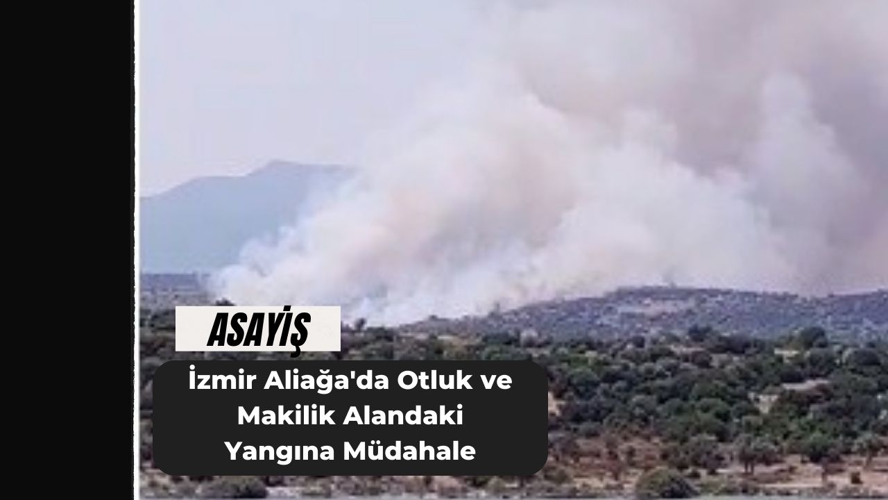 İzmir Aliağa'da Otluk ve Makilik Alandaki Yangına Müdahale