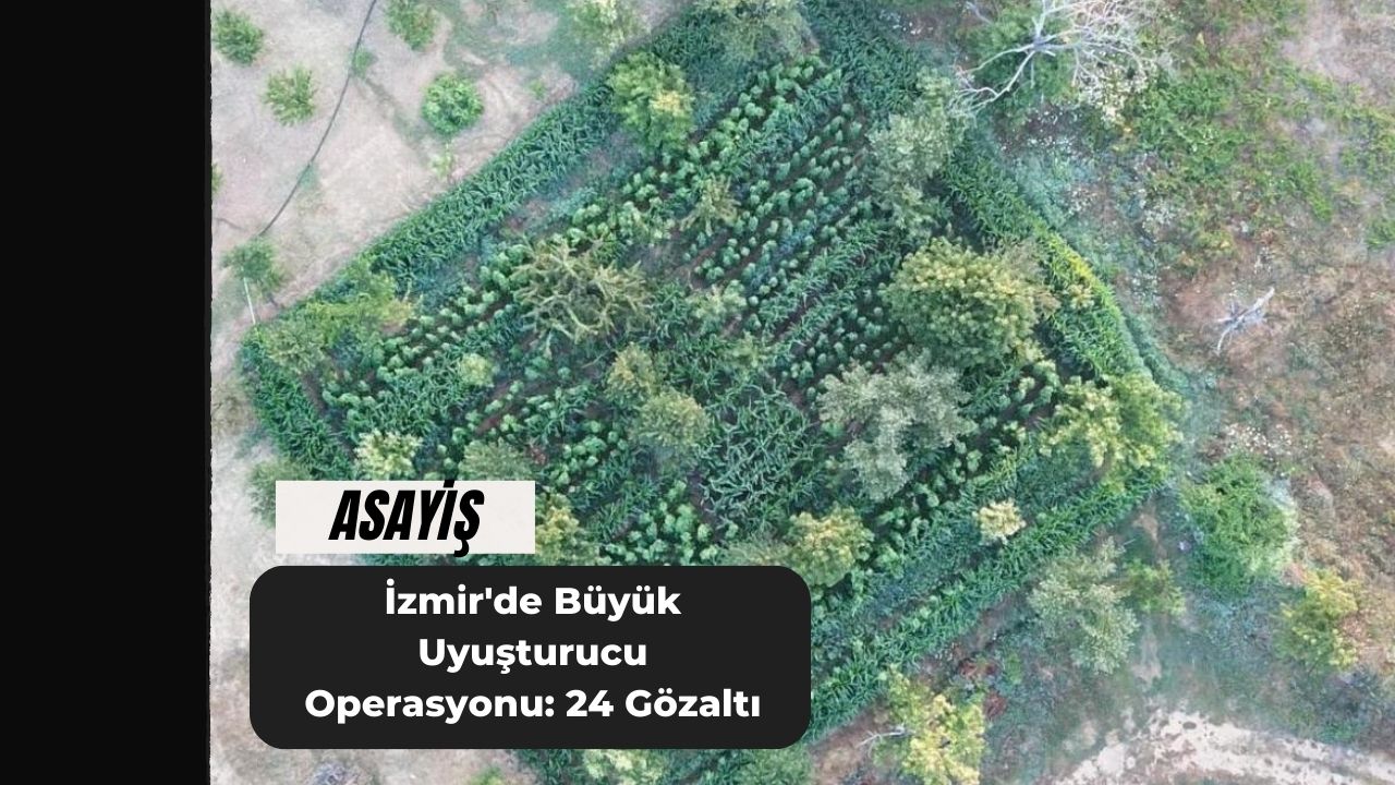 İzmir'de Büyük Uyuşturucu Operasyonu: 24 Gözaltı
