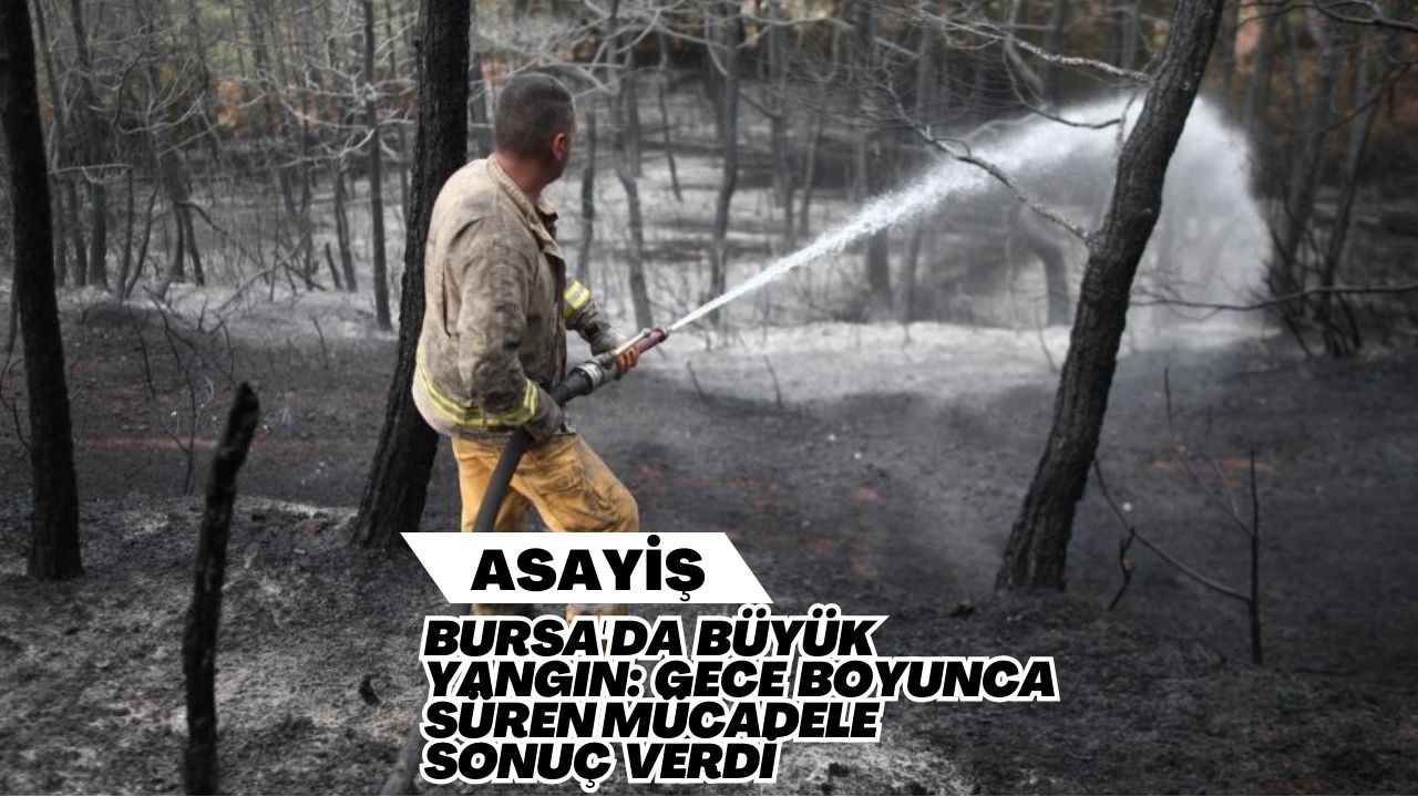 Bursa'da Büyük Yangın: Gece Boyunca Süren Mücadele Sonuç Verdi