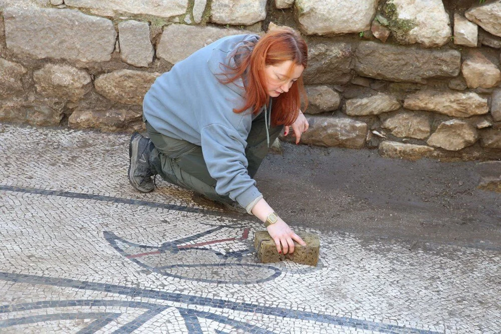 Herakleia Antik Kenti'ndeki kazılarda, Roma dönemine ait bir hamamda eşsiz mozaikler bulundu. Timsah ve flamingo betimlemeleri, arkeologları ve yerel halkı şaşkına çevirdi.